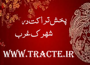 پخش تراکت در شهرک غرب