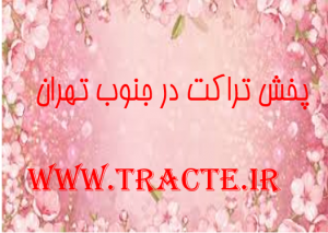 پخش تراکت در جنوب تهران